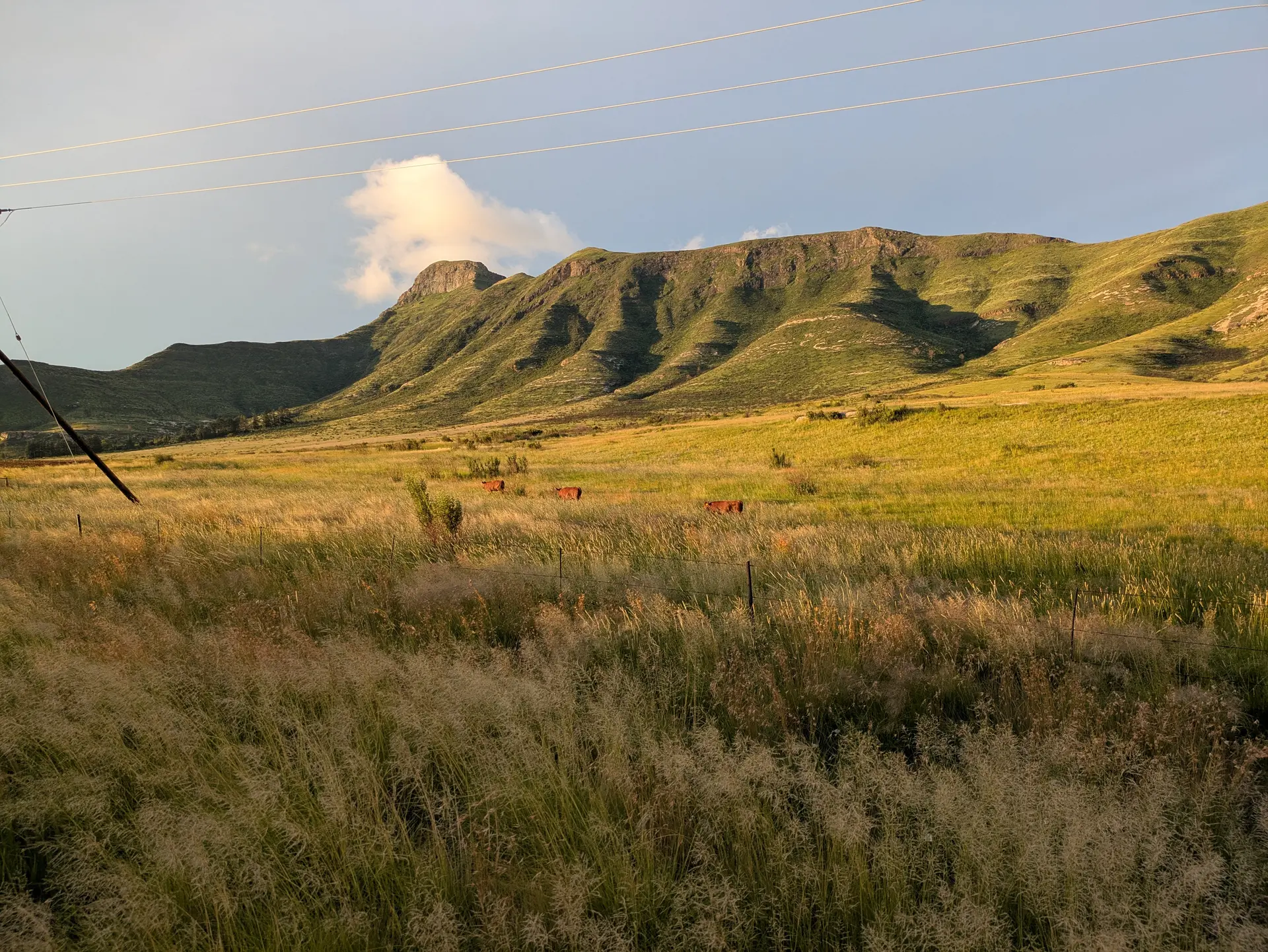 Veld landscape near Clarens, Free State
